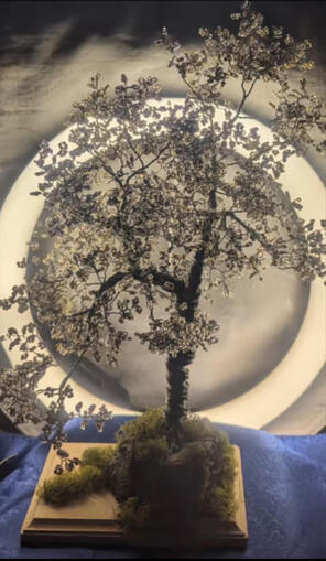 Autumn Bonsai Wire Tree